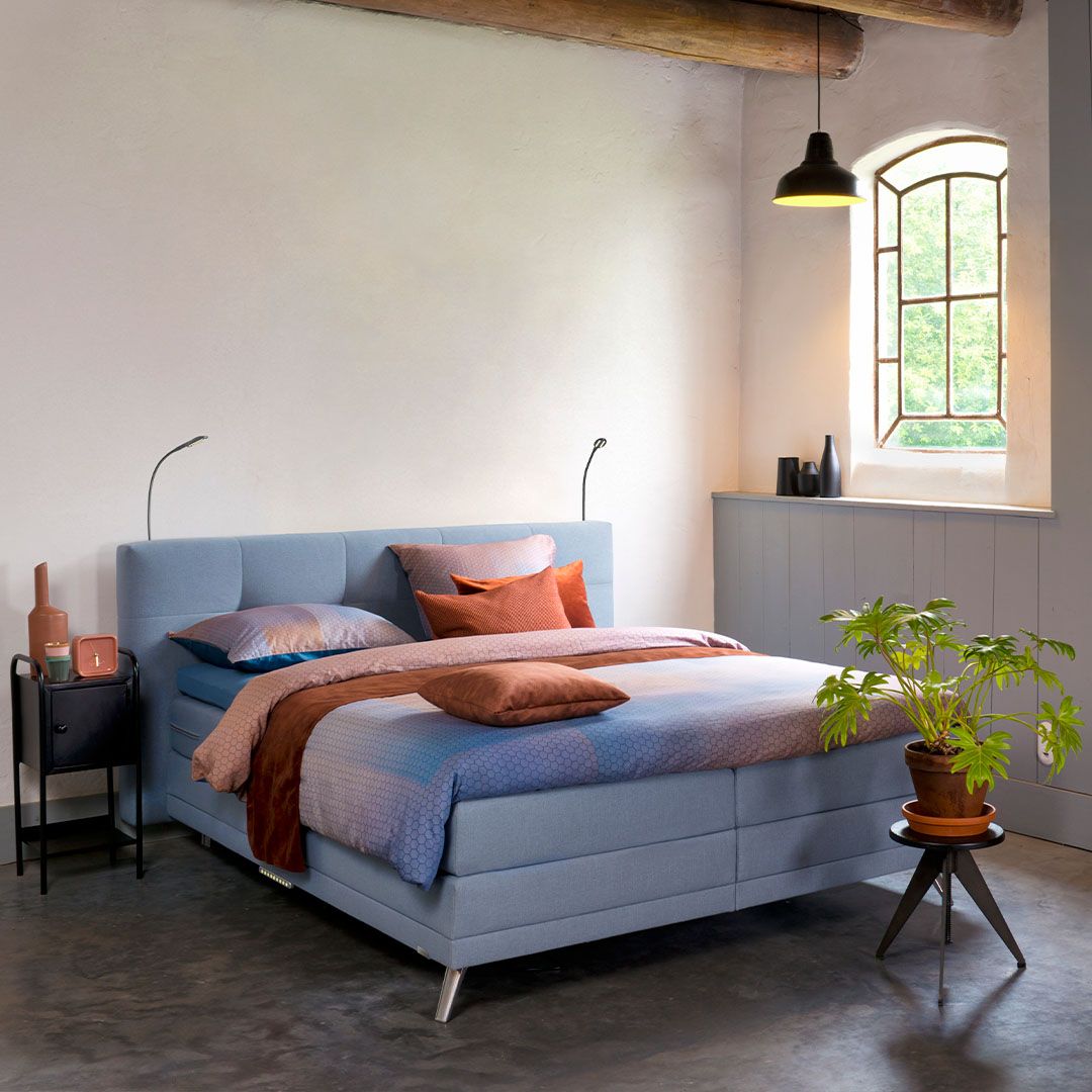 Avek Paasactie image