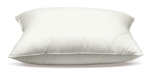 Hästens Kussens image