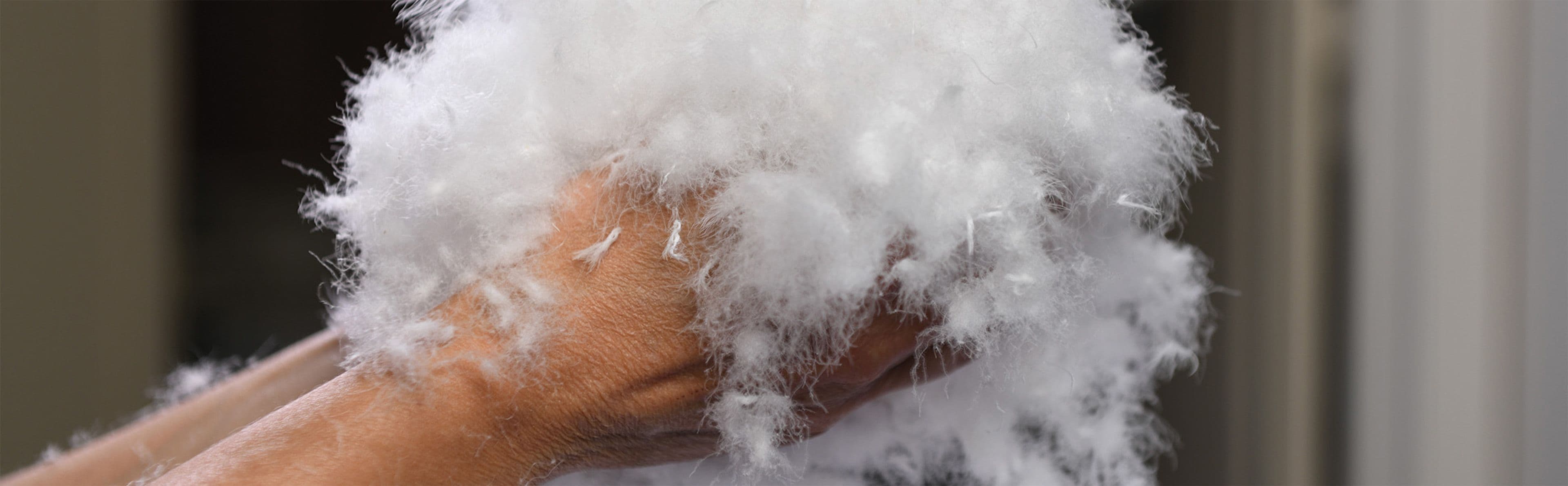 Gebroeders Jonk image