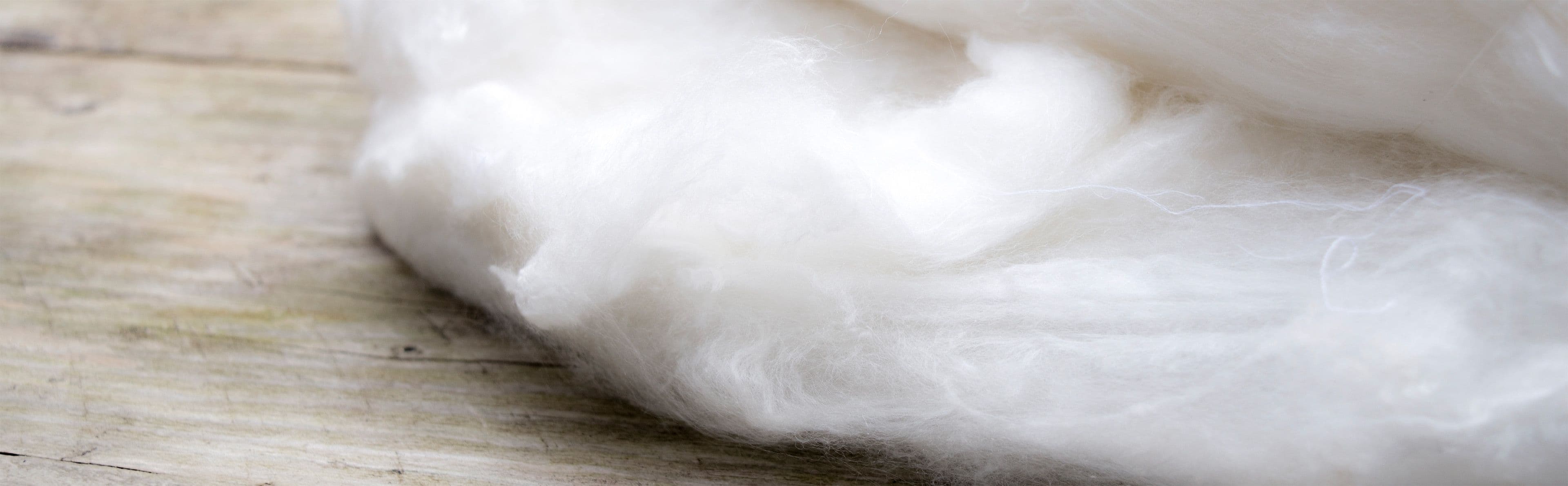 Kuiper & Kalkman  image