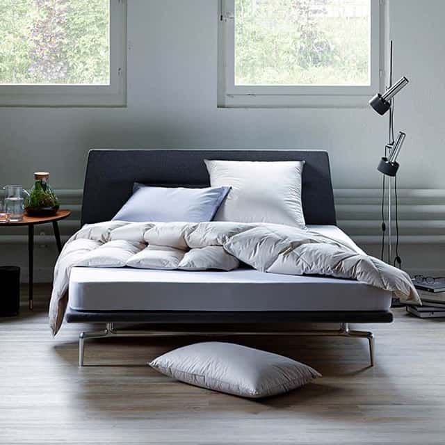 Alle Dauny dekbedden image