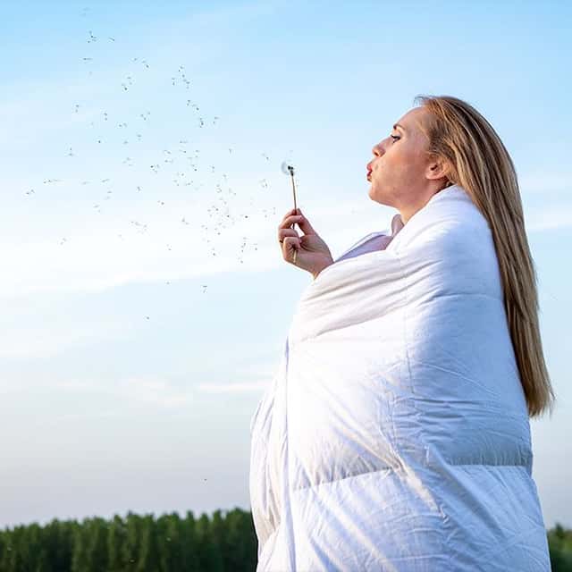 Bekijk dekbedden image