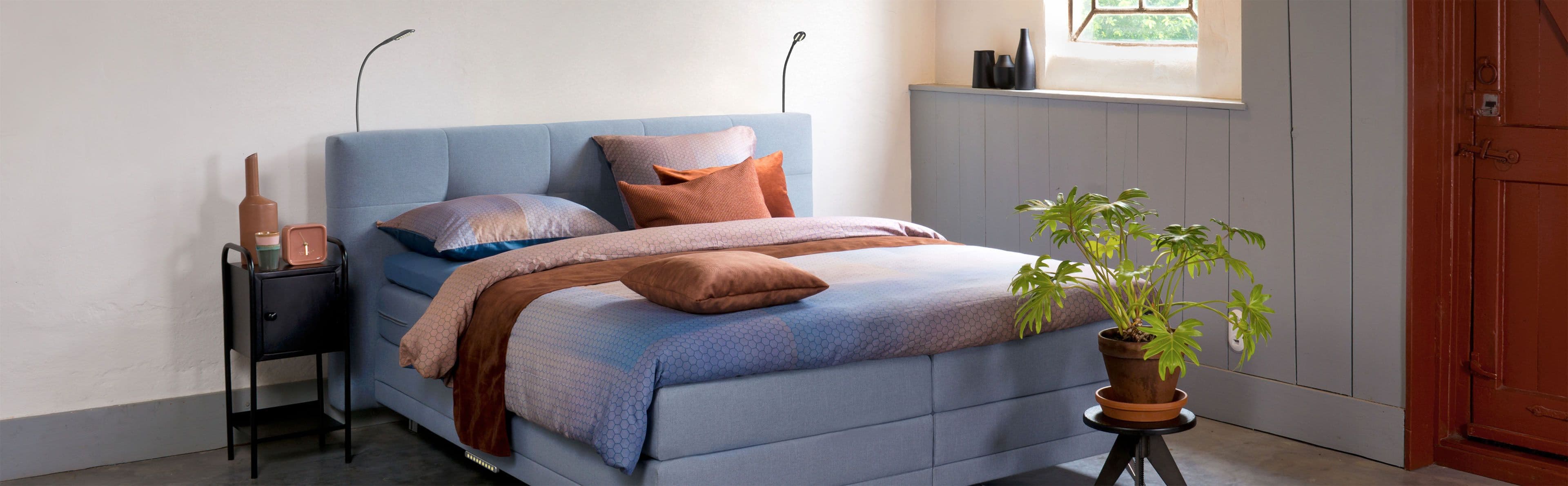 AVEK - Black Friday image