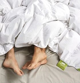 Silvana dekbedden image