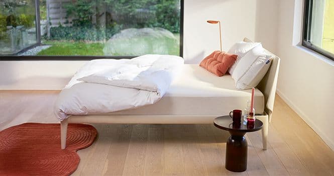 Hästens Check up image